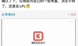 手游lpl最新爆料消息,神秘新英雄登场，战队布局再掀风云