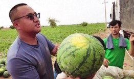 西藏扎西枫丹娱乐吃瓜,吃瓜群众眼中的神秘娱乐王国