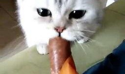 娱乐吃瓜喵喵喵,揭秘娱乐圈那些不为人知的幕后故事