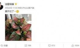 最新爆料锦集,独家内幕大公开！